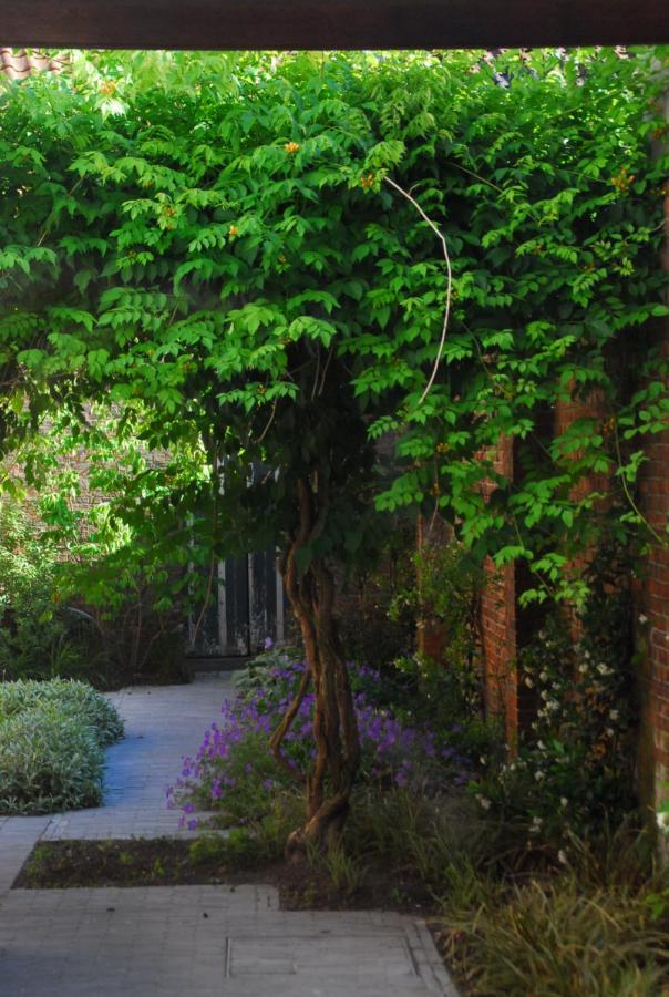 브뤼헤 Nostra Signora B&B 외부 사진